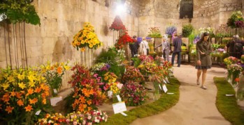 Split Flower festival Diocletian Palace Croatia